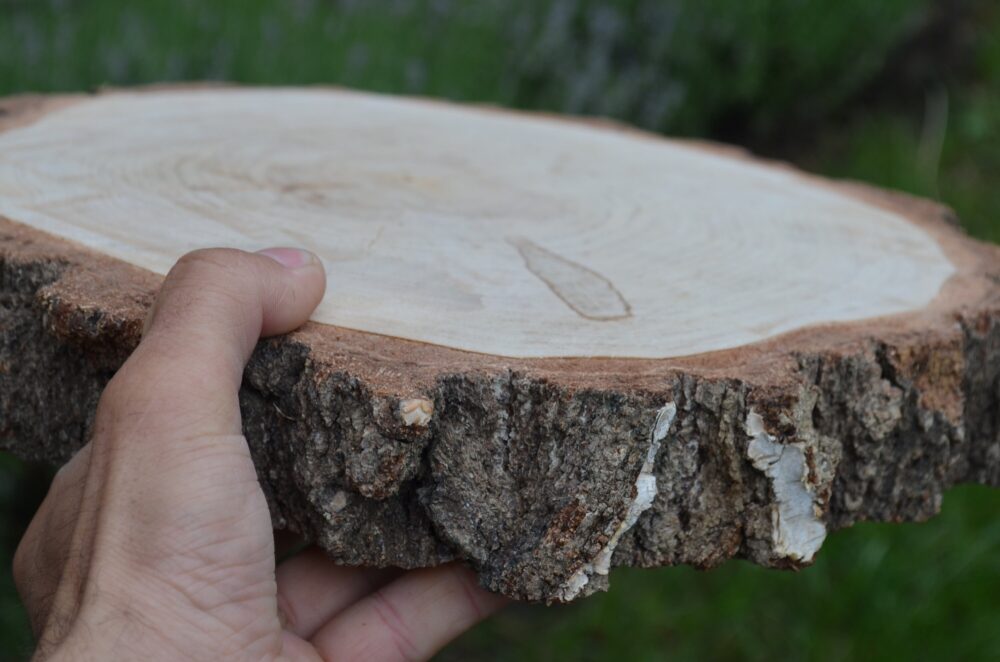 Wedding Cake Stand Large Piece Birch, Wooden Pieces, Rustic Wedding Decor, Plates, Large Cupcake Birch Slices