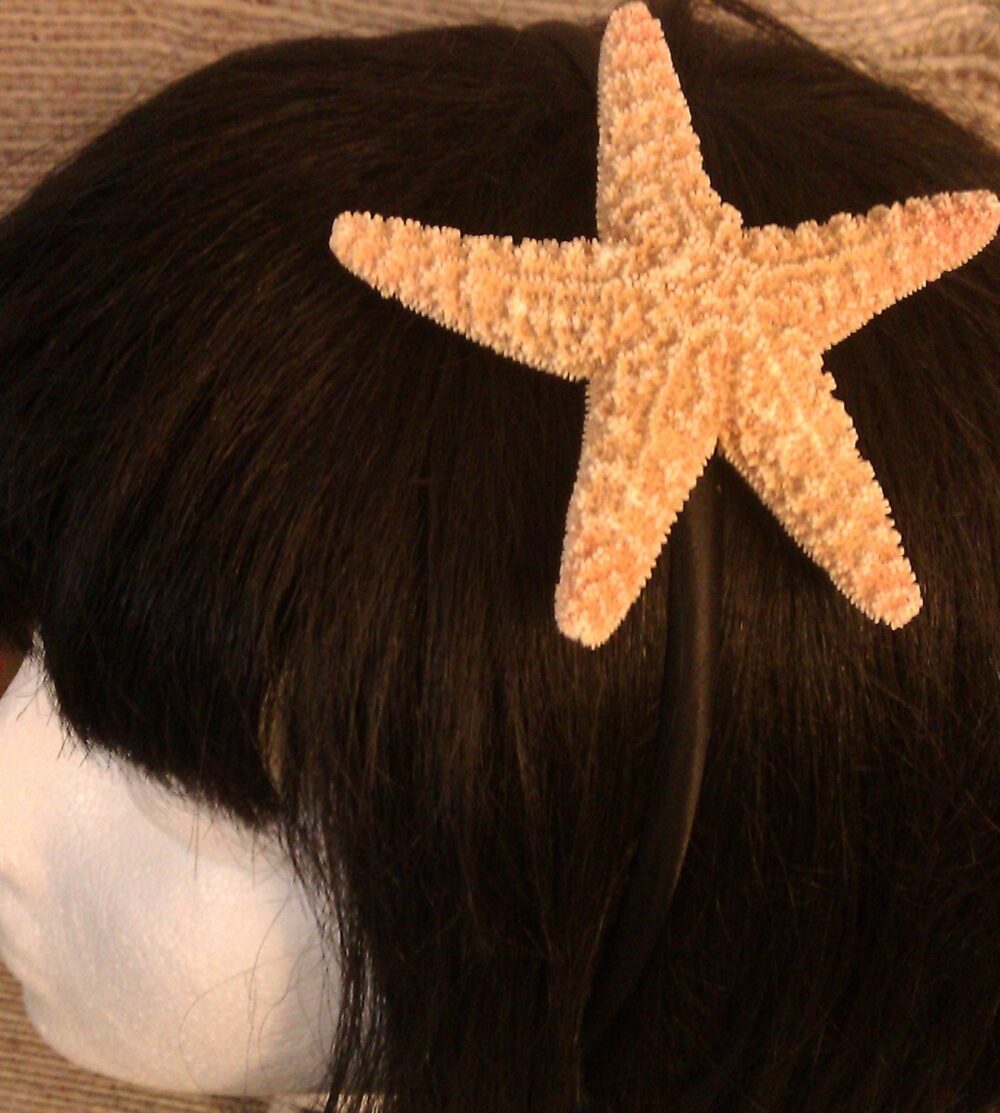 Starfish Headband, Ocean, Beach Wedding, Tropical Bridal, Starfish Barrette, Hair Clip, Fish, Ocean Clip