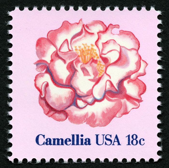 5x Camellia Pink Flowers Wedding Invitations 1981 18C Unused Postage Stamp Free Shipping #1 Source Best Prices For Vintage Stamps
