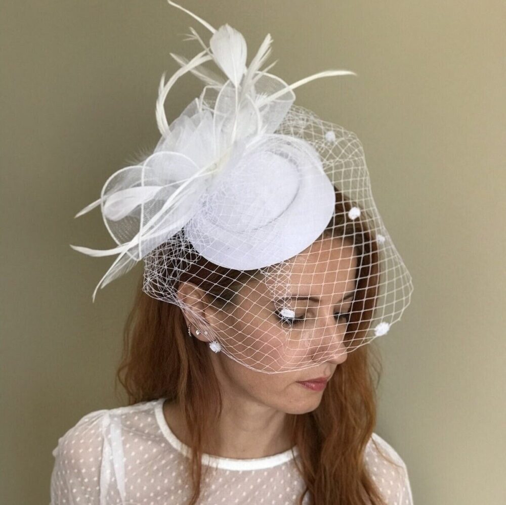 Bridal Fascinator Feathers Birdcage Veil, Wedding Pillbox Hat, Cocktail Hat With Mesh Headpiece