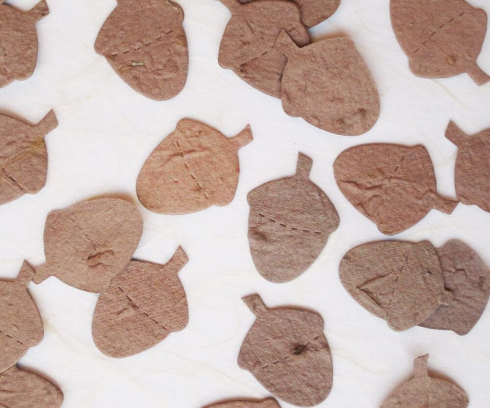 100 Plantable Acorns - Woodland Wedding Favors Seed Paper Acorn Flower Seeds With Optional Deer Cards