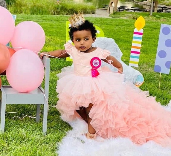 Flower Girl Dress, Wedding Baby Dress With Train, Junior Bridesmaid Birthday Ball Hi Lo Puffy