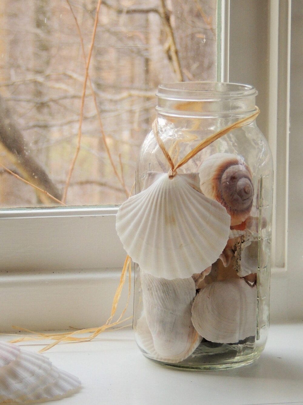 Seashell Ornament Shell Beach Wedding Mason Jar Centerpieces White Reception Decor Coastal Cottage Home Decorations Bulk Christmas Tree Set