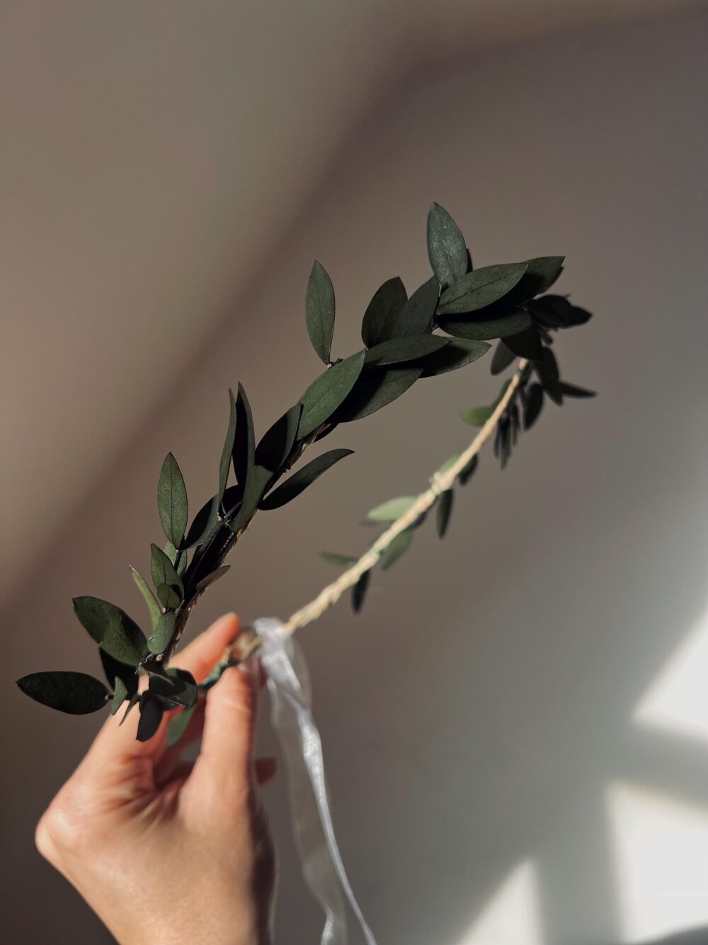 Dried Eucalyptus Wedding Crown, Minimalist Greenery Headband, Olive Leaves Halo Crown For Brides, Green Flower Girl Headband