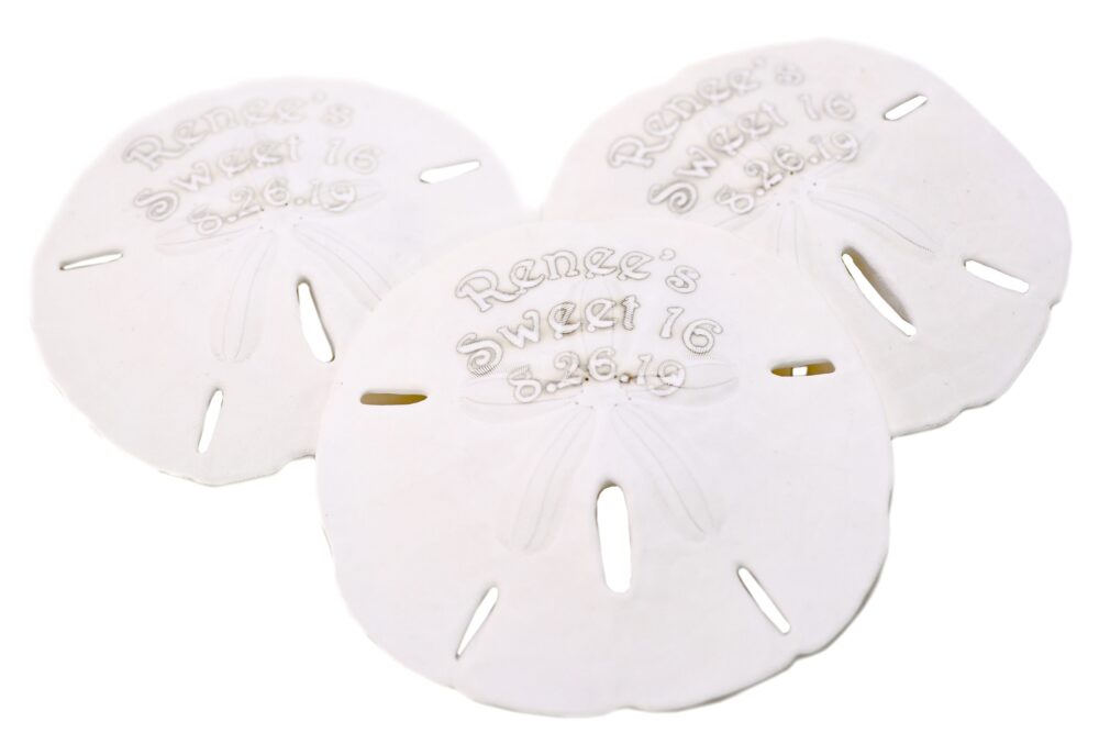 Personalized Beach Sand Dollar Favor - Custom Engraved Theme Wedding Party Favors Bride, Groom, Bridal Shower, Birthday, Anniversary