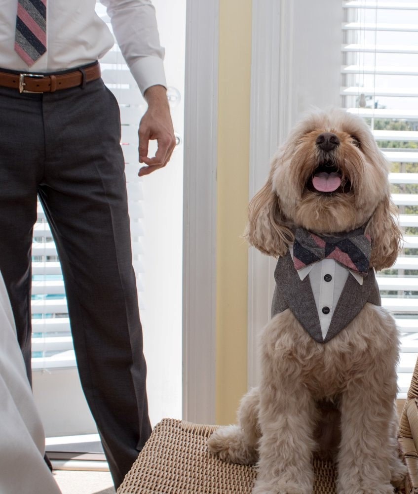 Gray Dog Wedding Tuxedo Custom Formal Attire With Bow Tie
