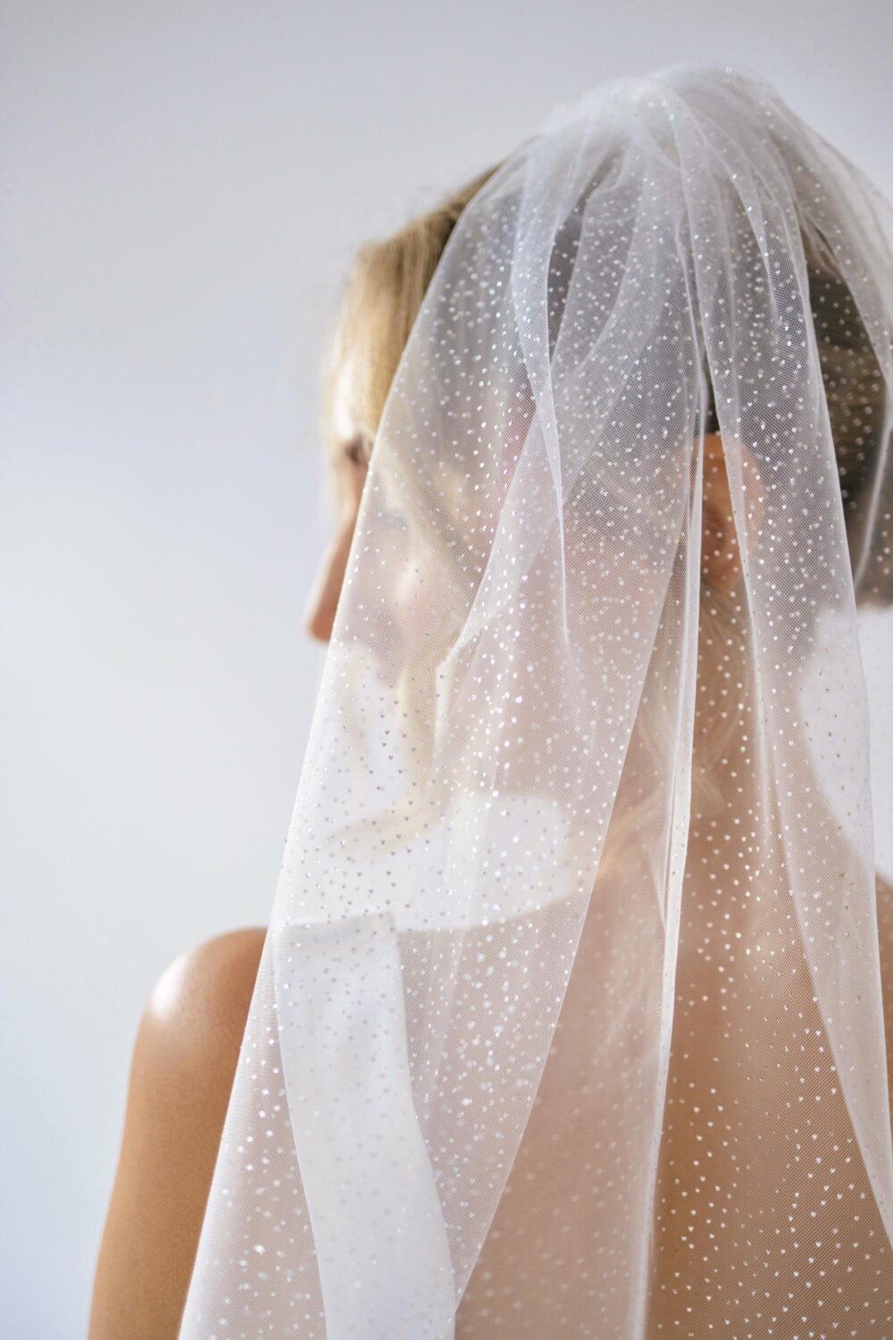 Glitter Shimmer Wedding Veil. Sparkling Bridal Short, Long, With Or Without Blusher