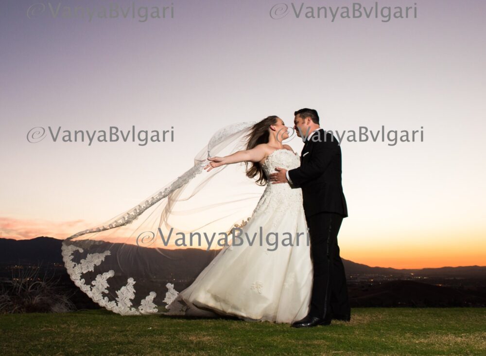 Cathedral Wedding Veil With Chantilly Lace Edge & Appliques On The Bottom Gathered Top A Hair Comb, Bridal Mantilla