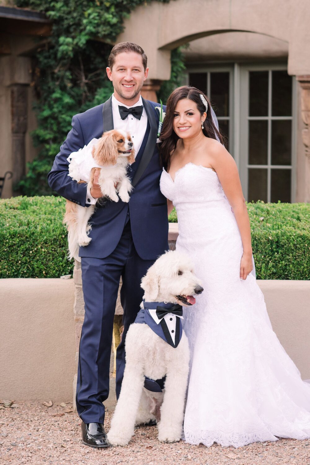 Custom Fit Dog Wedding Tuxedo Extra Large Attire