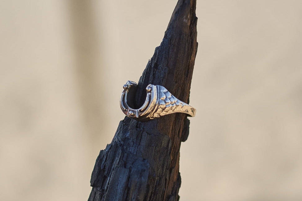 Lucky Horseshoe Ring, Good Fortune & Protection, Nature Jewelry Talisman, Ideal Luck Gift