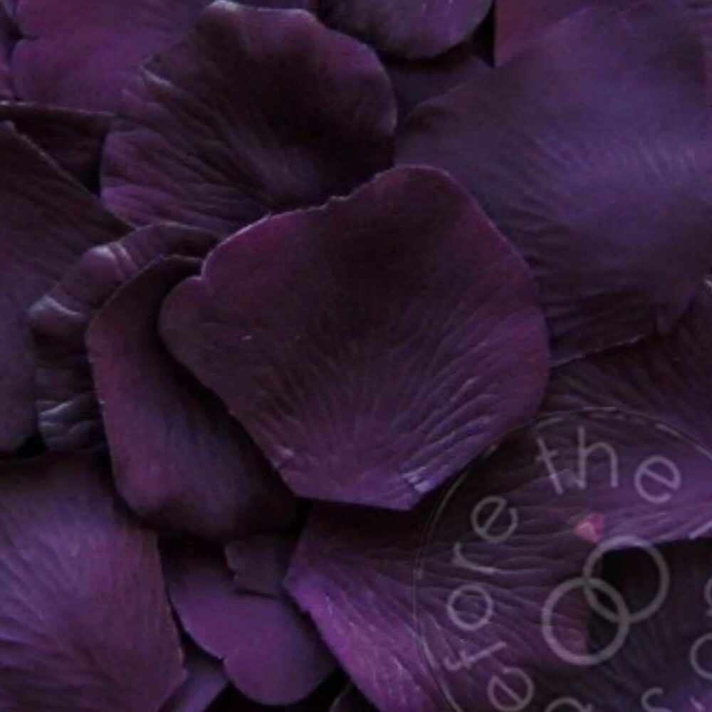Eggplant Purple Wedding Petals - Deep Petals, Faux Silk Artificial Flower | Package Of 100