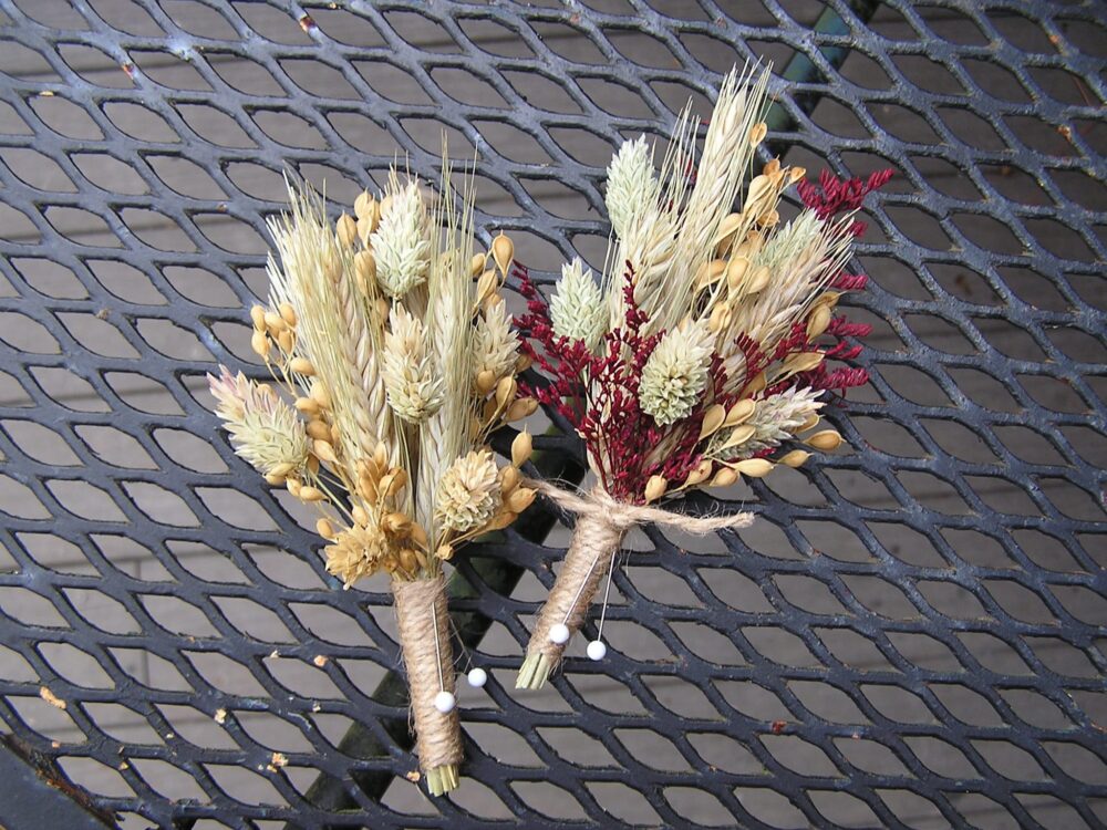 Wheat & Burgundy Wedding Boutonnieres, Mans Buttonhole, Dried Rustic Boutonniere, Groomsman