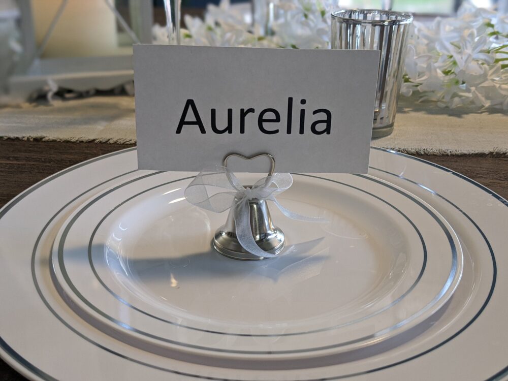 Premium Heavy Duty Delux Disposable Plastic Plates With Metallic Silver Trim, White Wedding Plates, Buffet