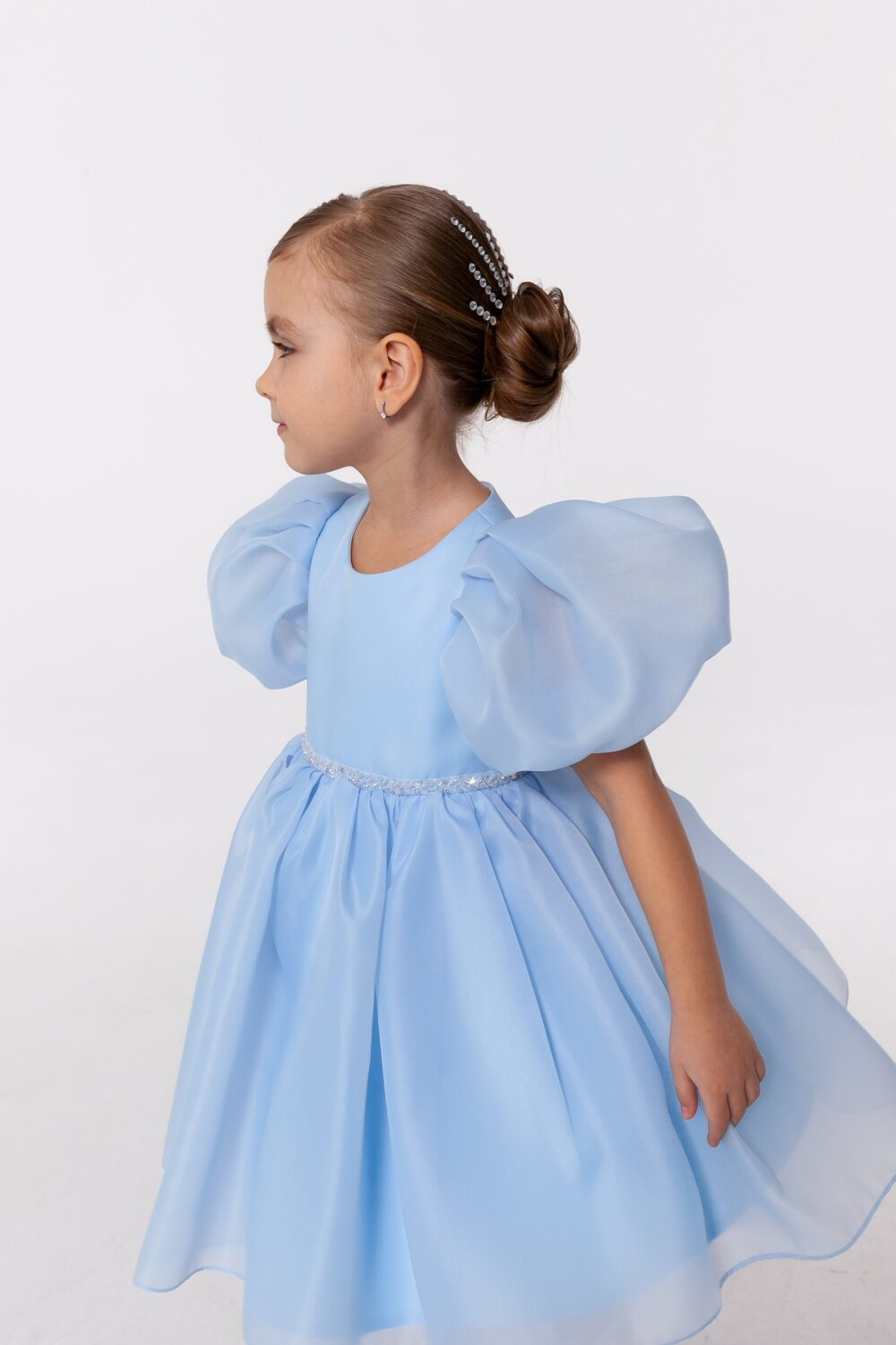 Something Blue Girl Wedding Dress Organza Flower Bridesmaid, Puffy Sleeves, Baby Toddler Customised