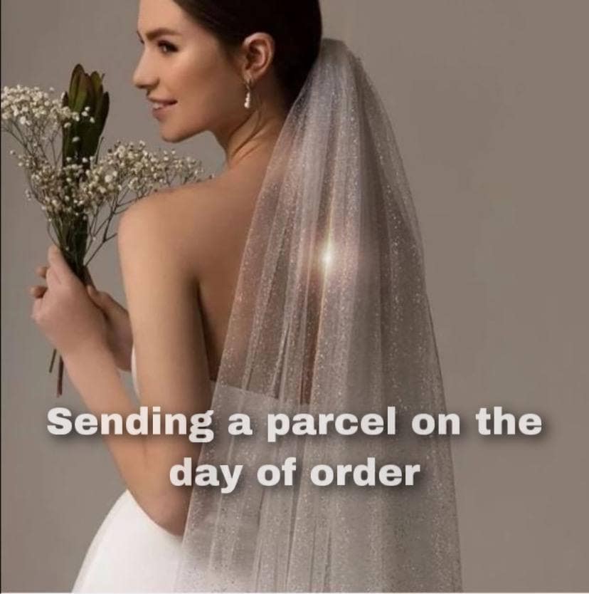 Glitter Wedding Veil Shimmer With Sparkles Shimmering Cathedral Sparkly Glitter Beaded Edging Veil Angel Cut