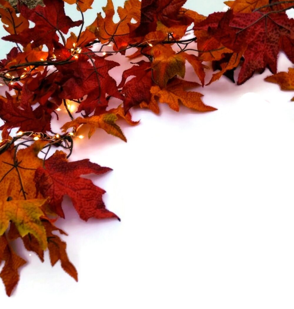 Autumn Wedding Decor Package Fall Leaf Garlands & Fairy Lights