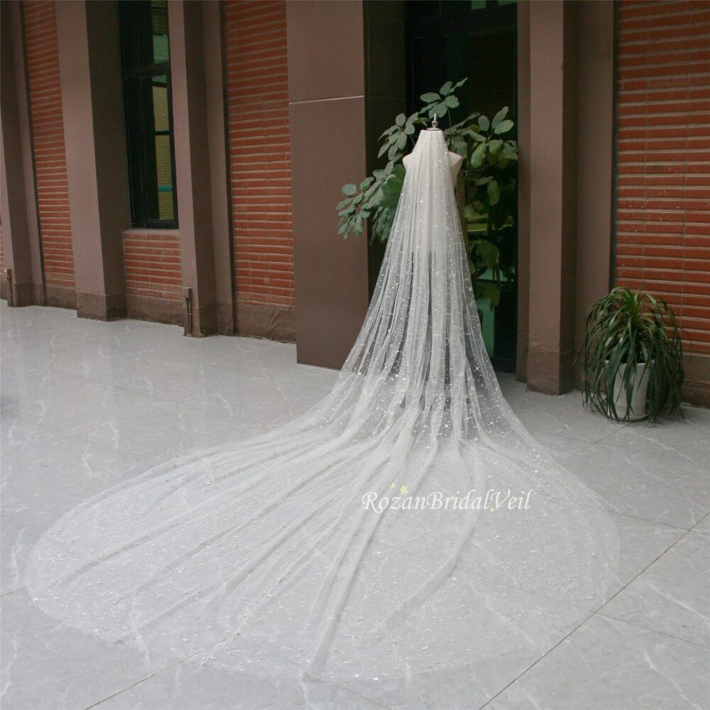Sparkle Star Wedding Veil/Cathedral Celestial Veil/Silver Sparkle Veil/Single Layer Bridal Veil/Vintage Veil/Starry Veil/Chapel Veil