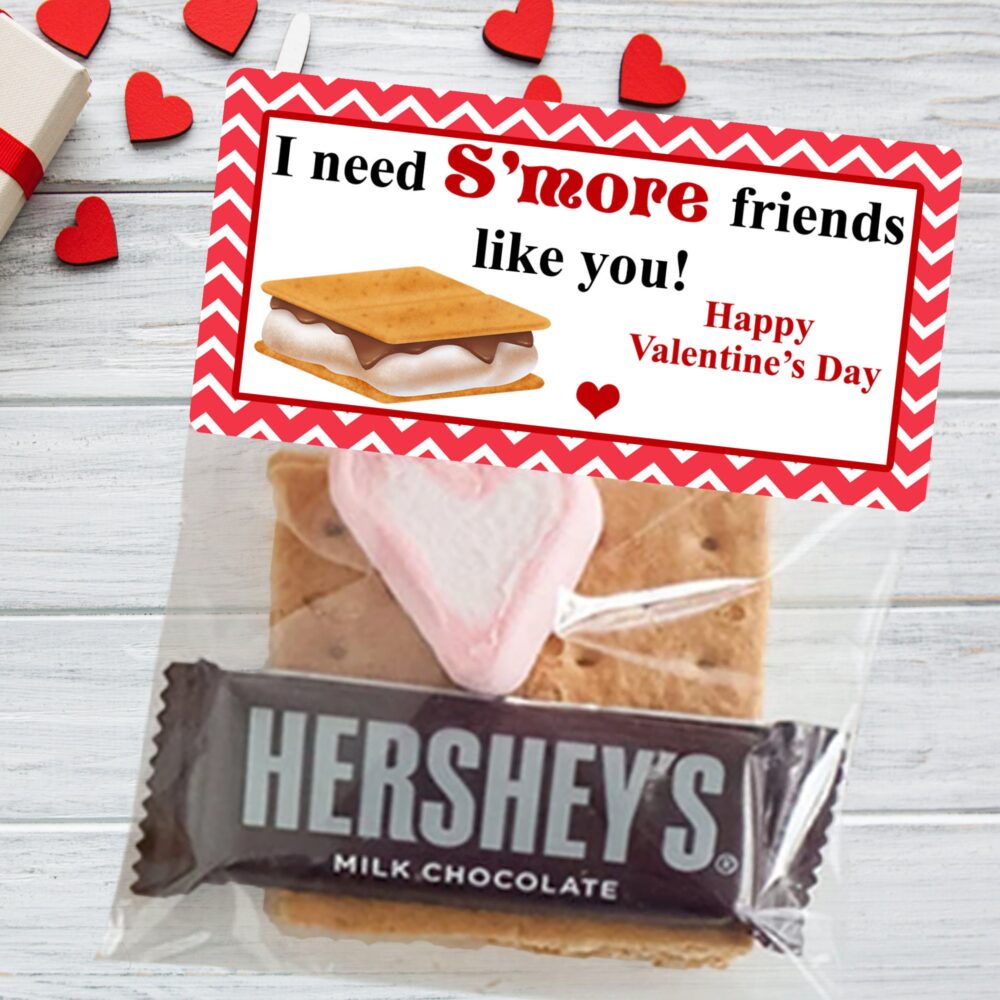 Smores Valentine Party Favors, Items Not Included, Smore Treat Bags, Stickers School Class Teacher Classmate