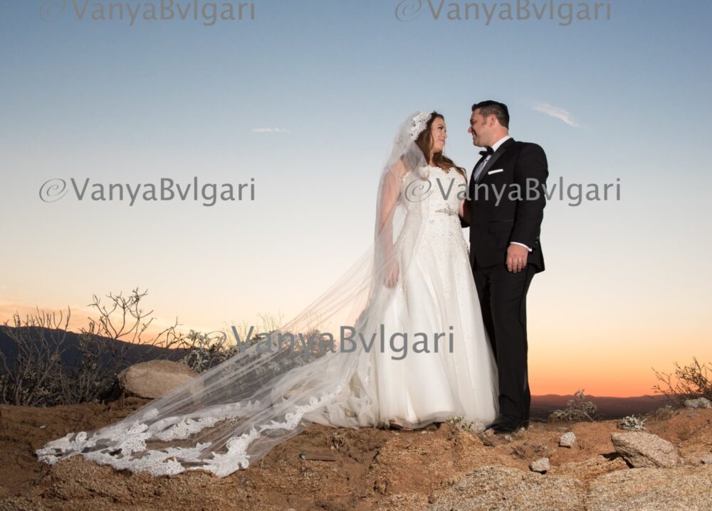 Cathedral Wedding Veil With Chantilly Lace Edge Gathered Top On A Hair Comb, Bridal in Classic Style, Mantilla