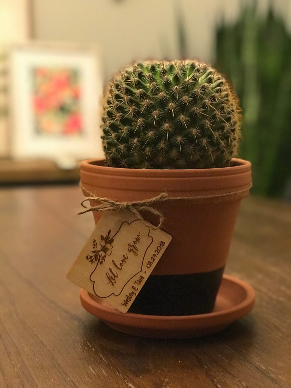 Plant Wedding Favor Tags Only Qty 30-50, Cactus Not Included. 3" Favor, Bride, Groom, Gift