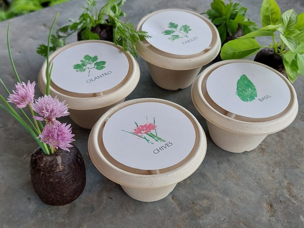 Herb Wedding Favors, Set Of 4 Herb Kits, Garden Party Favor, Annual Seeds, Basil, Chives, Parsley, Cilantro Eco Friendly Gift Seed Kit