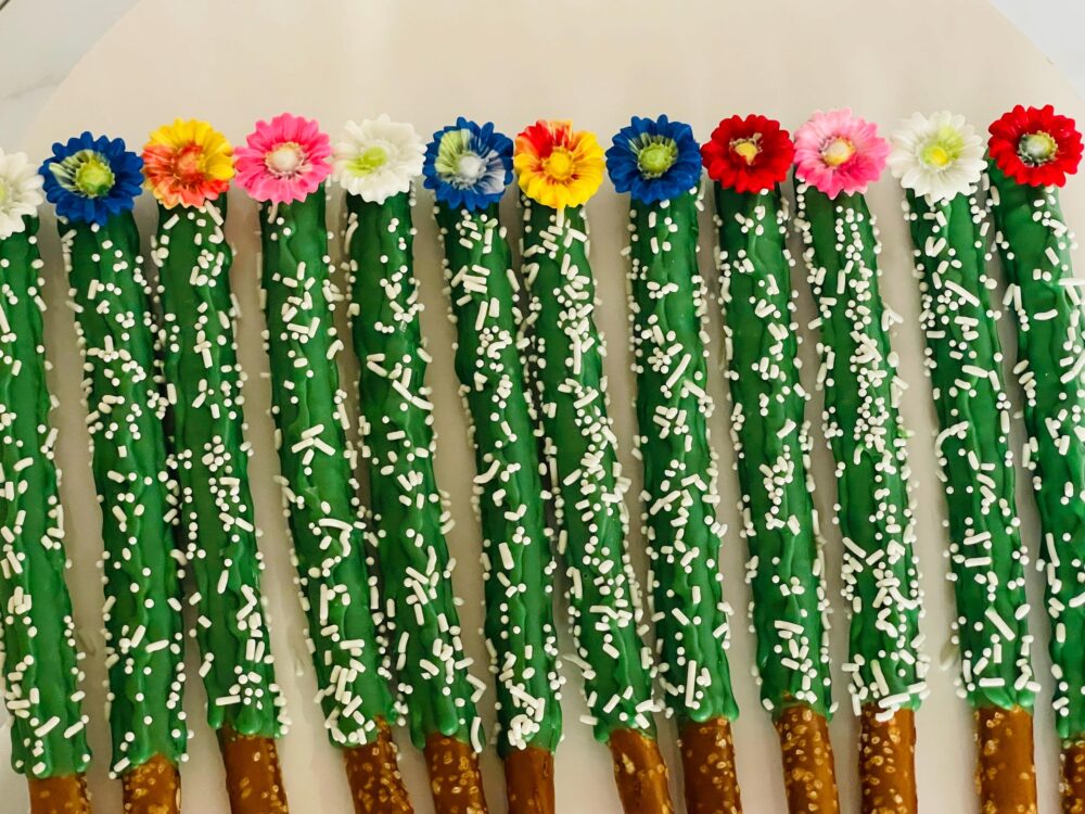 Cactus Party Favors Chocolate Covered Pretzels | Birthday Wedding Baby Shower Baptism Graduation 10% Off 3-Day Sale