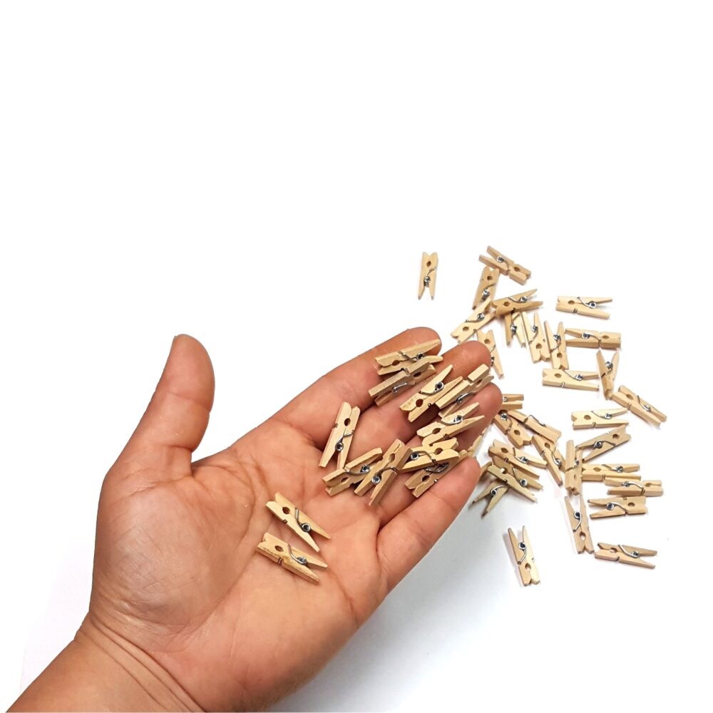 Tiny Clothespins Small Clothes Pins Mini Clothespins, Natural Wood Wooden Pins, Rustic Wedding Decorations