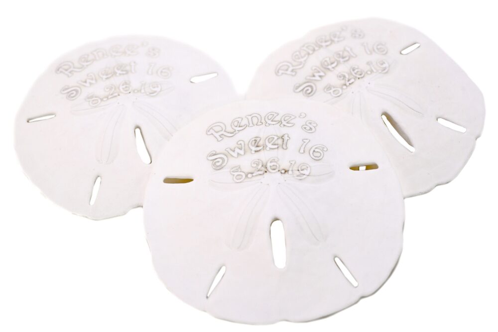 Personalized Beach Sand Dollar Favor - Custom Engraved Theme Wedding Party Favors Bride, Groom, Bridal Shower, Birthday, Anniversary