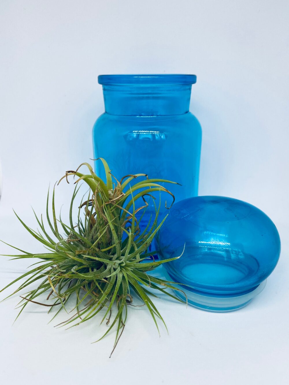 Blue Glass Apothecary Jar