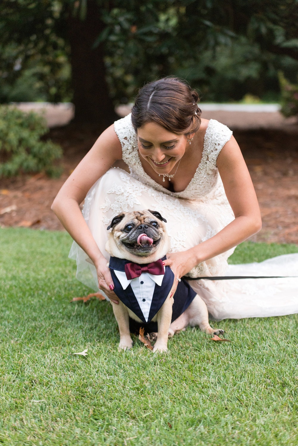 2 Piece Quality Custom Fit Dog Tuxedo Sm./Med . Choice Of Colors & Bow Tie