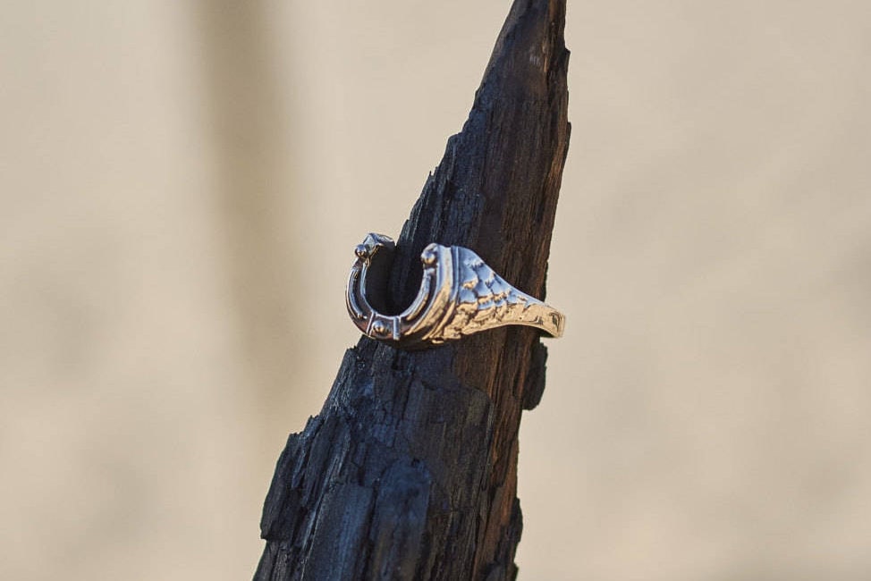 Lucky Horseshoe Ring, Good Fortune & Protection, Nature Jewelry Talisman, Ideal Luck Gift